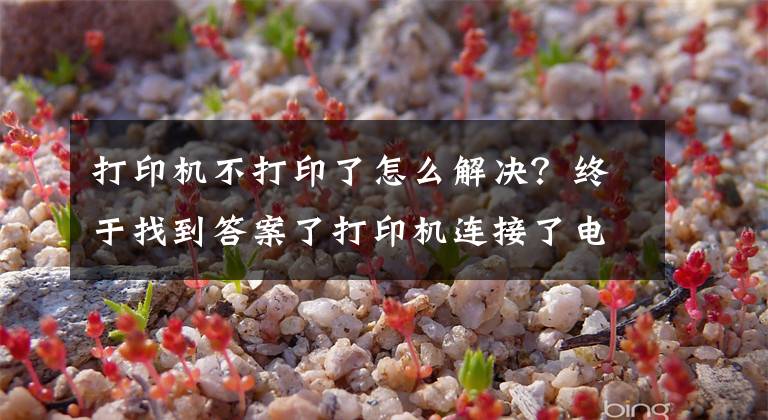 打印机不打印了怎么解决？终于找到答案了打印机连接了电脑不能打印怎么办？