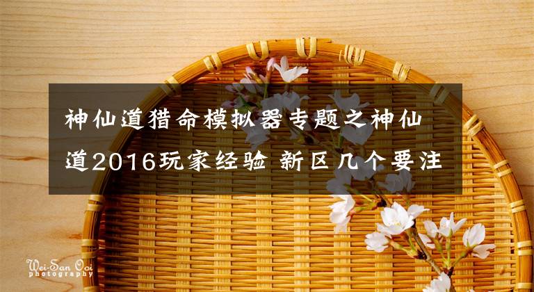 神仙道猎命模拟器专题之神仙道2016玩家经验 新区几个要注意的地方