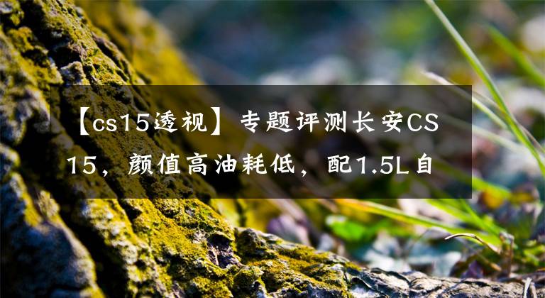 【cs15透视】专题评测长安CS15，颜值高油耗低，配1.5L自吸引擎，操控性不错