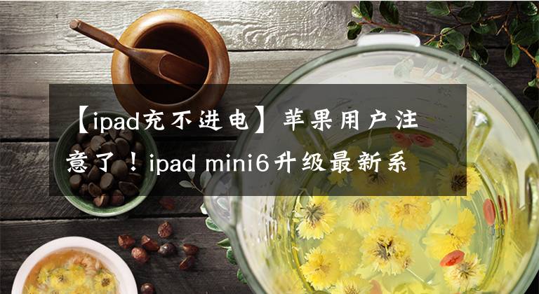 【ipad充不进电】苹果用户注意了！ipad mini6升级最新系统后无法充电