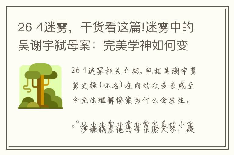 26 4迷雾，干货看这篇!迷雾中的吴谢宇弑母案：完美学神如何变为弑母魔鬼？