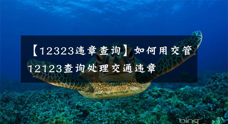 【12323违章查询】如何用交管12123查询处理交通违章
