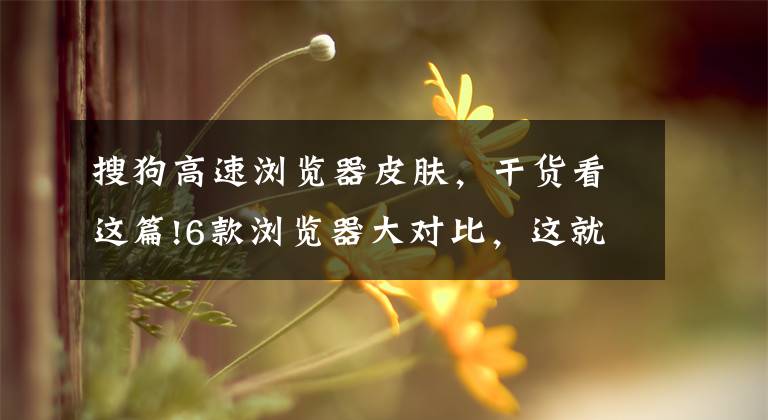 搜狗高速浏览器皮肤，干货看这篇!6款浏览器大对比，这就是你不再使用国产浏览器的原因？