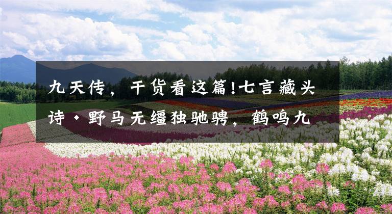 九天传，干货看这篇!七言藏头诗·野马无缰独驰骋，鹤鸣九天传碧霄