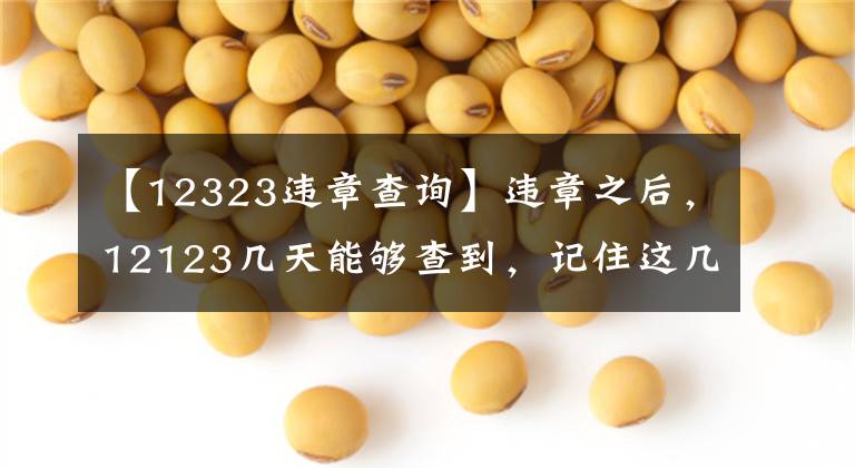 【12323违章查询】违章之后，12123几天能够查到，记住这几个时间点