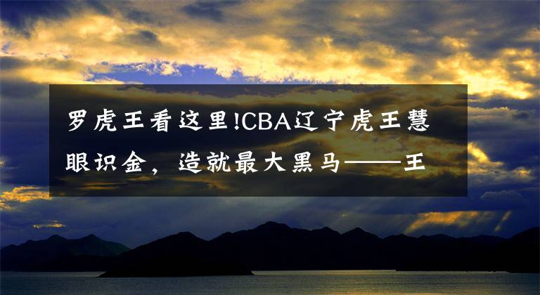 罗虎王看这里!CBA辽宁虎王慧眼识金，造就最大黑马——王晗！