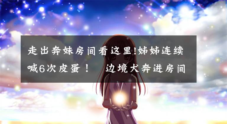 走出奔妹房间看这里!姊姊连续喊6次皮蛋！　边境犬奔进房间「灿笑回应6次」融化千人