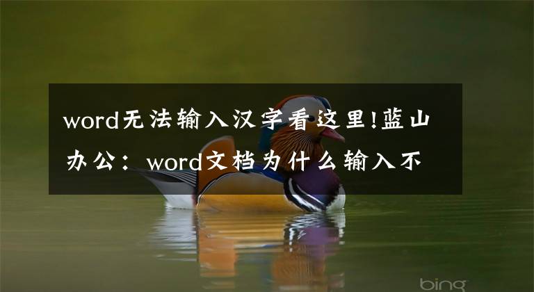 word无法输入汉字看这里!蓝山办公：word文档为什么输入不了中文
