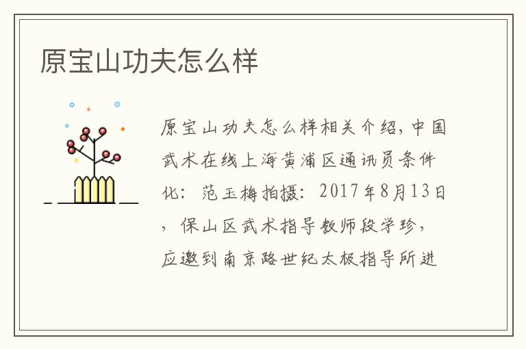 原宝山功夫怎么样