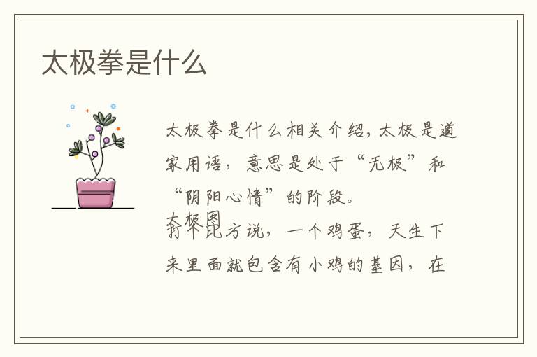 太极拳是什么