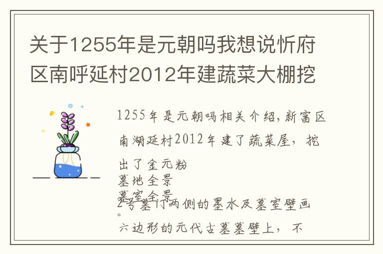 关于1255年是元朝吗我想说忻府区南呼延村2012年建蔬菜大棚挖出金元古墓