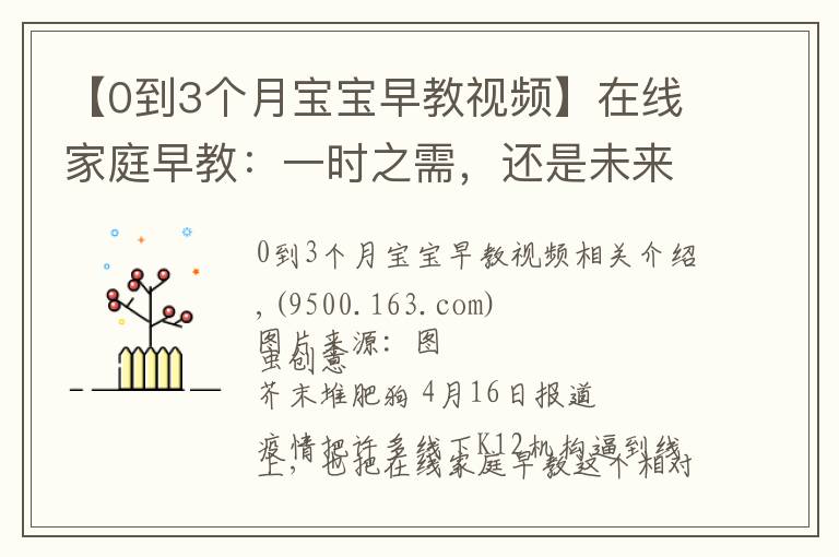 【0到3个月宝宝早教视频】在线家庭早教：一时之需，还是未来风口？