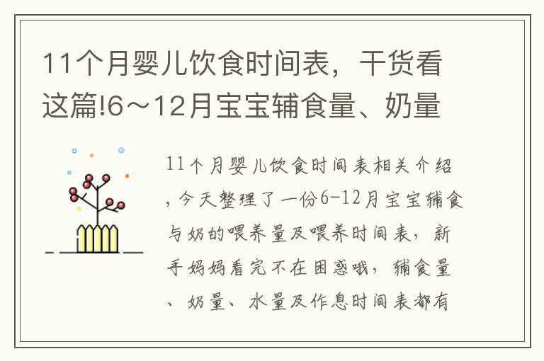 11个月婴儿饮食时间表，干货看这篇!6～12月宝宝辅食量、奶量喂养时间表，新手妈妈收藏