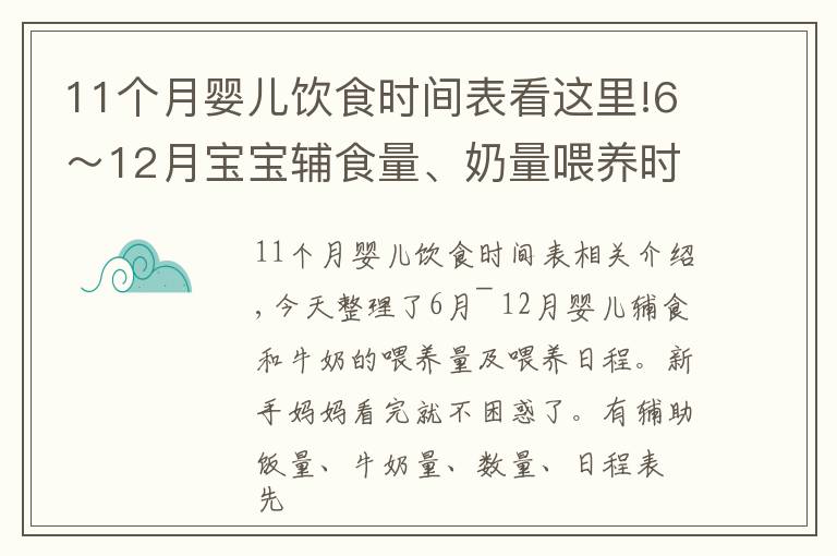 11个月婴儿饮食时间表看这里!6～12月宝宝辅食量、奶量喂养时间表，新手妈妈收藏