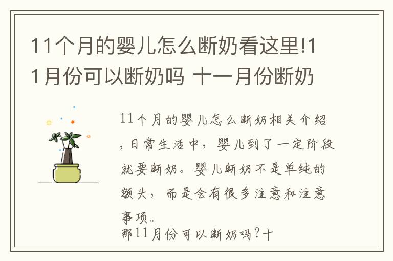 11个月的婴儿怎么断奶看这里!11月份可以断奶吗 十一月份断奶好不好