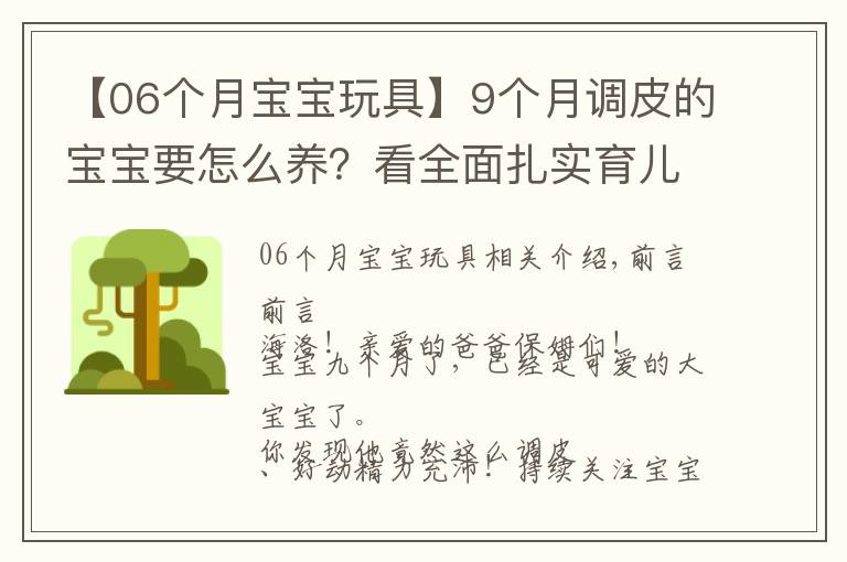 【06个月宝宝玩具】9个月调皮的宝宝要怎么养？看全面扎实育儿早教知识！建议收藏