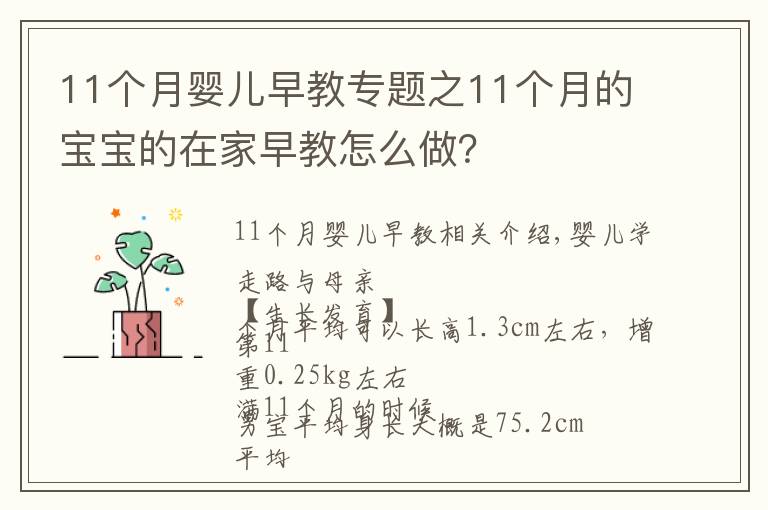 11个月婴儿早教专题之11个月的宝宝的在家早教怎么做？