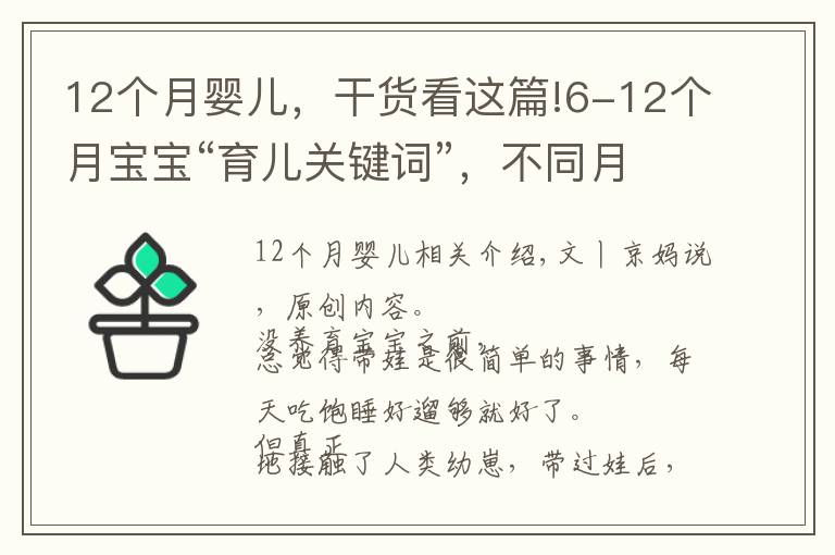 12个月婴儿，干货看这篇!6-12个月宝宝“育儿关键词”，不同月龄养护重点及建议，收藏