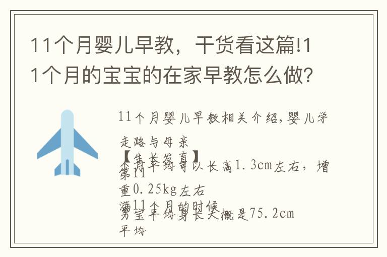 11个月婴儿早教，干货看这篇!11个月的宝宝的在家早教怎么做？