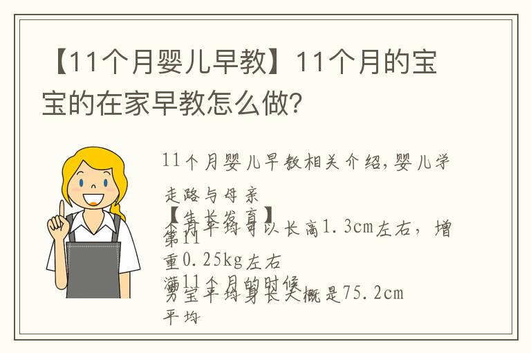 【11个月婴儿早教】11个月的宝宝的在家早教怎么做？