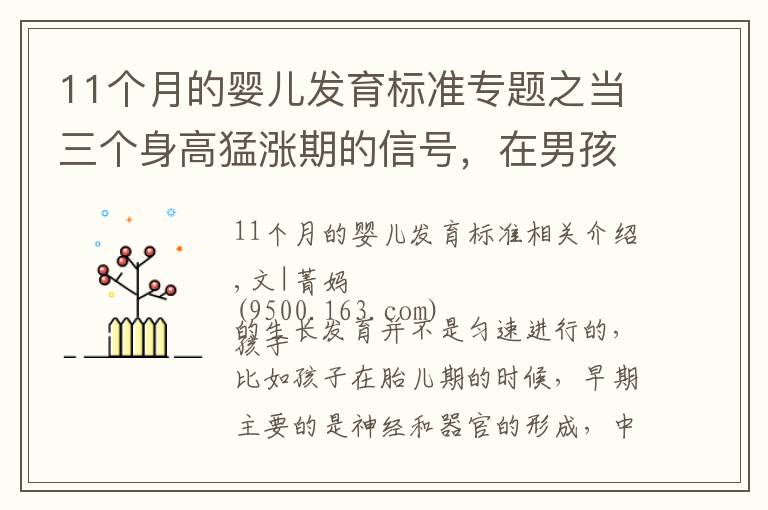 11个月的婴儿发育标准专题之当三个身高猛涨期的信号，在男孩身上显现时，家长记住“7做到”