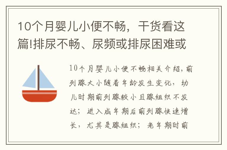 10个月婴儿小便不畅，干货看这篇!排尿不畅、尿频或排尿困难或是前列腺增生来袭？4个方法能诊断