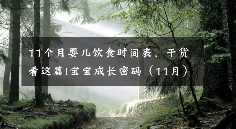 11个月婴儿饮食时间表，干货看这篇!宝宝成长密码（11月）