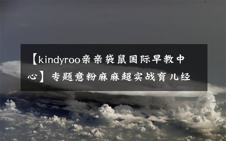 【kindyroo亲亲袋鼠国际早教中心】专题意粉麻麻超实战育儿经验:揭密武汉最强大的行业——早教培训