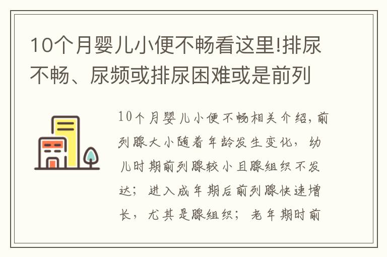 10个月婴儿小便不畅看这里!排尿不畅、尿频或排尿困难或是前列腺增生来袭？4个方法能诊断