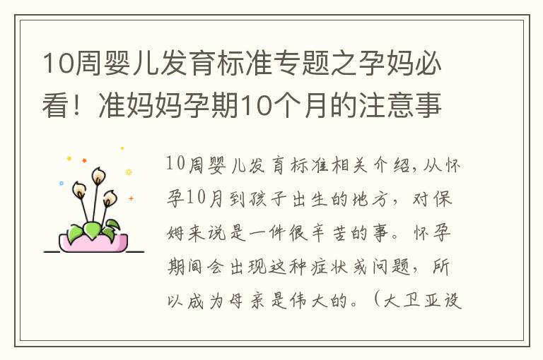 10周婴儿发育标准专题之孕妈必看！准妈妈孕期10个月的注意事项
