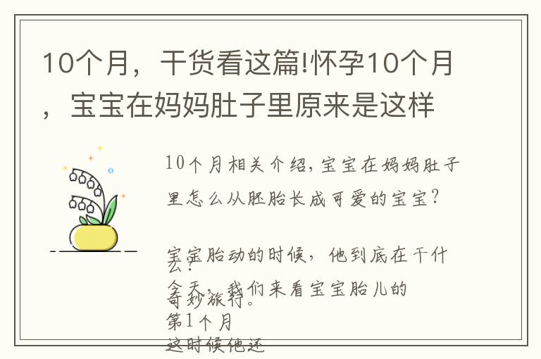 10个月，干货看这篇!怀孕10个月，宝宝在妈妈肚子里原来是这样长大的