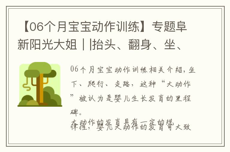 【06个月宝宝动作训练】专题阜新阳光大姐｜|抬头、翻身、坐、爬、走，1~12个月宝宝大动作训练指南