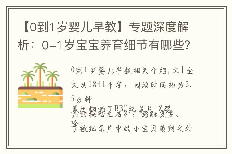 【0到1岁婴儿早教】专题深度解析：0-1岁宝宝养育细节有哪些？这部BBC纪录片诠释得太详细