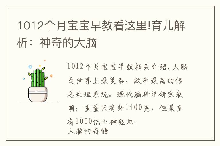 1012个月宝宝早教看这里!育儿解析：神奇的大脑