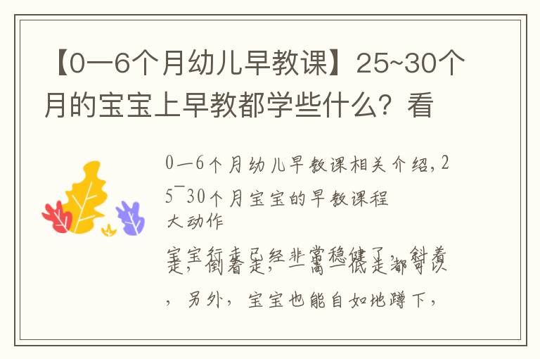 【0一6个月幼儿早教课】25~30个月的宝宝上早教都学些什么？看这一篇文章就够了