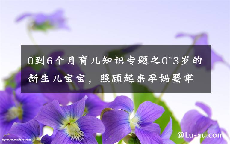 0到6个月育儿知识专题之0~3岁的新生儿宝宝，照顾起来孕妈要牢记三个原则，别老抱在怀里