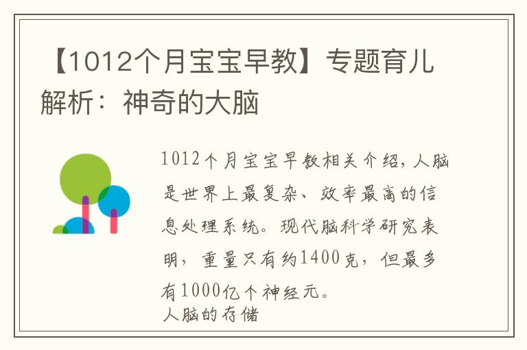 【1012个月宝宝早教】专题育儿解析：神奇的大脑