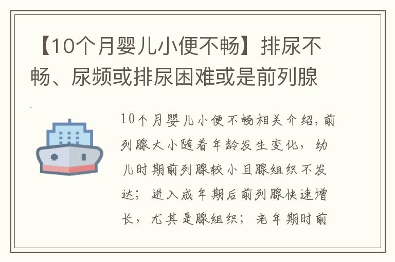 【10个月婴儿小便不畅】排尿不畅、尿频或排尿困难或是前列腺增生来袭？4个方法能诊断