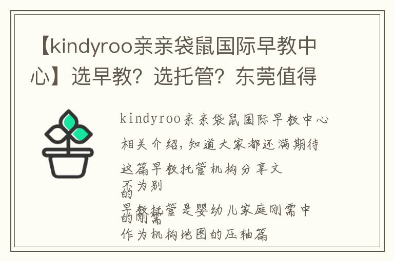 【kindyroo亲亲袋鼠国际早教中心】选早教？选托管？东莞值得推荐的这类机构，在这儿