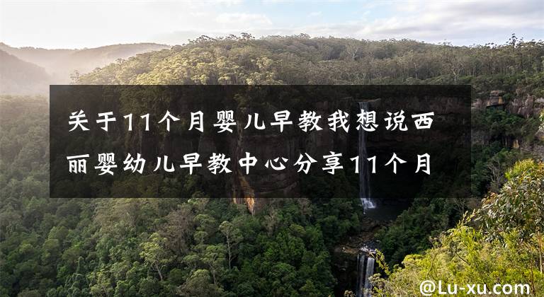 关于11个月婴儿早教我想说西丽婴幼儿早教中心分享11个月宝宝早教知识