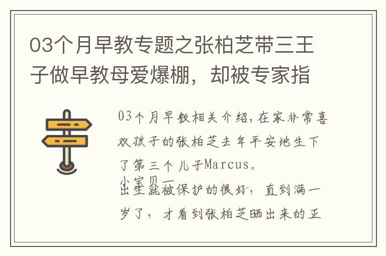 03个月早教专题之张柏芝带三王子做早教母爱爆棚，却被专家指出做错了这两点···