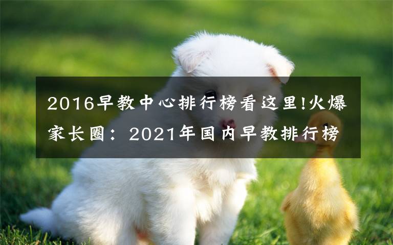 2016早教中心排行榜看这里!火爆家长圈：2021年国内早教排行榜再更新