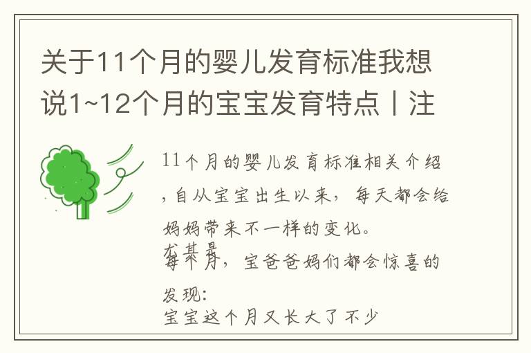 关于11个月的婴儿发育标准我想说1~12个月的宝宝发育特点丨注意事项丨早教玩具推荐