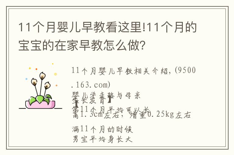 11个月婴儿早教看这里!11个月的宝宝的在家早教怎么做？