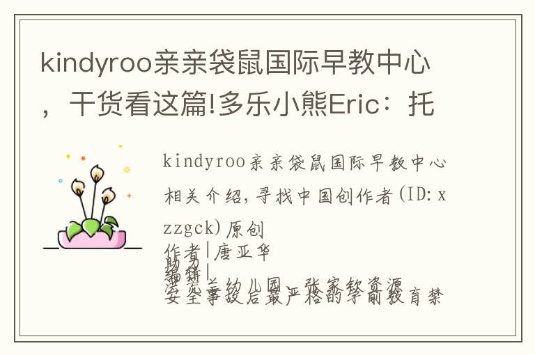 kindyroo亲亲袋鼠国际早教中心，干货看这篇!多乐小熊Eric：托育行业连锁发展的秘诀是专业和安全