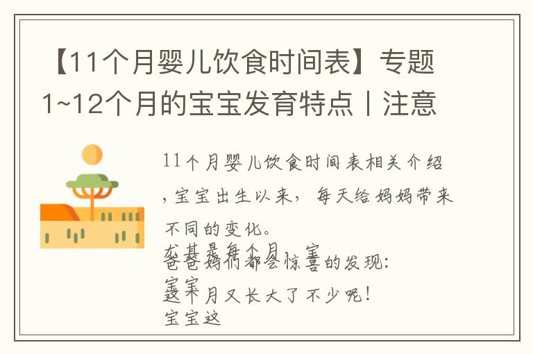 【11个月婴儿饮食时间表】专题1~12个月的宝宝发育特点丨注意事项丨早教玩具推荐