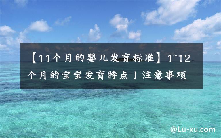 【11个月的婴儿发育标准】1~12个月的宝宝发育特点丨注意事项丨早教玩具推荐