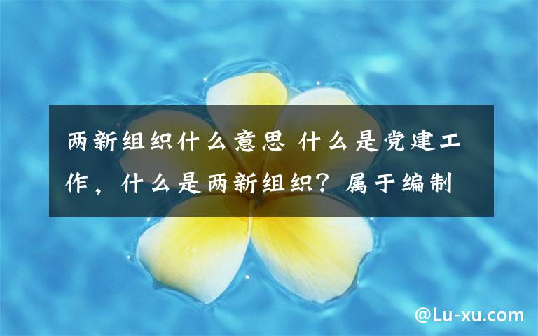 两新组织什么意思 什么是党建工作，什么是两新组织？属于编制吗?