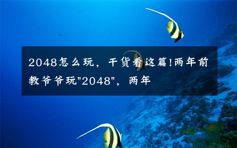2048怎么玩，干货看这篇!两年前教爷爷玩"2048"，两年后成绩最高分：四千多万……