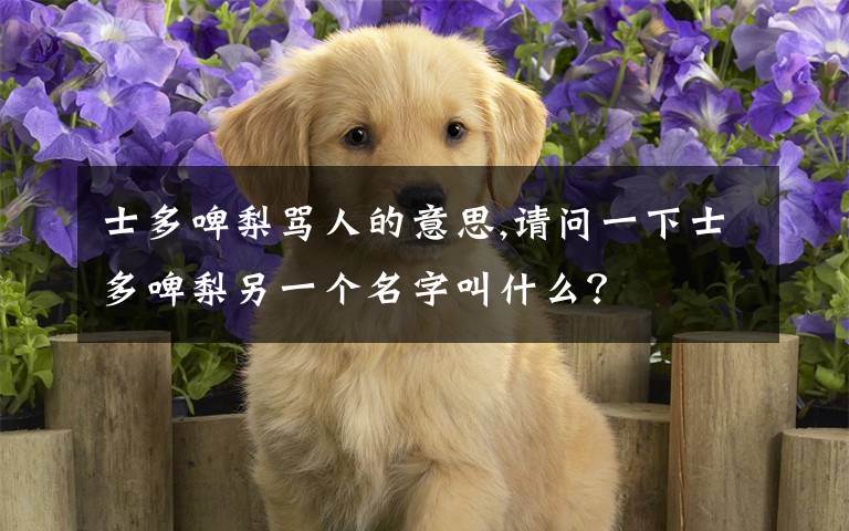 士多啤梨骂人的意思,请问一下士多啤梨另一个名字叫什么？
